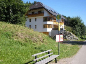 Ferienwohnungen DaHeim Titisee